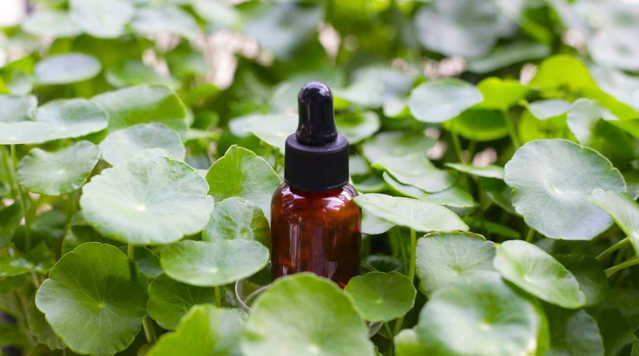Neurodermitis und Centella: 5 Wege, wie Centella Asiatica Deiner Haut bei Neurodermitis unterstützen kann – Aber Vorsicht vor minderwertigen Produkten!