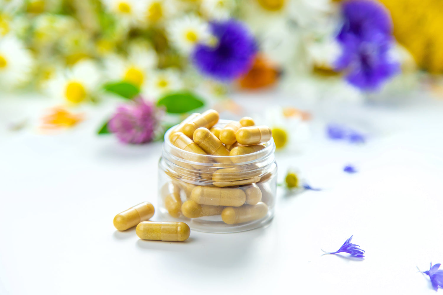 Bacopa Wirkung: Natürliches Gedächtnis-Boosting mit ayurvedischer Unterstützung