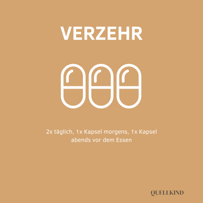 2 Kapseln täglich – ideal als Kur über mehrere Wochen