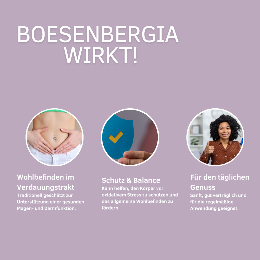 Unterstützt Magen-Darm, Reizmagen, Leber &amp; antioxidative Zellkraft