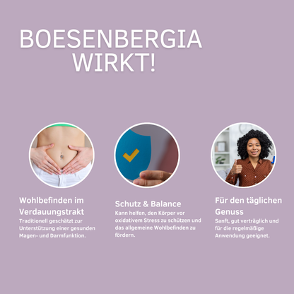 Unterstützt Magen-Darm, Reizmagen, Leber &amp; antioxidative Zellkraft