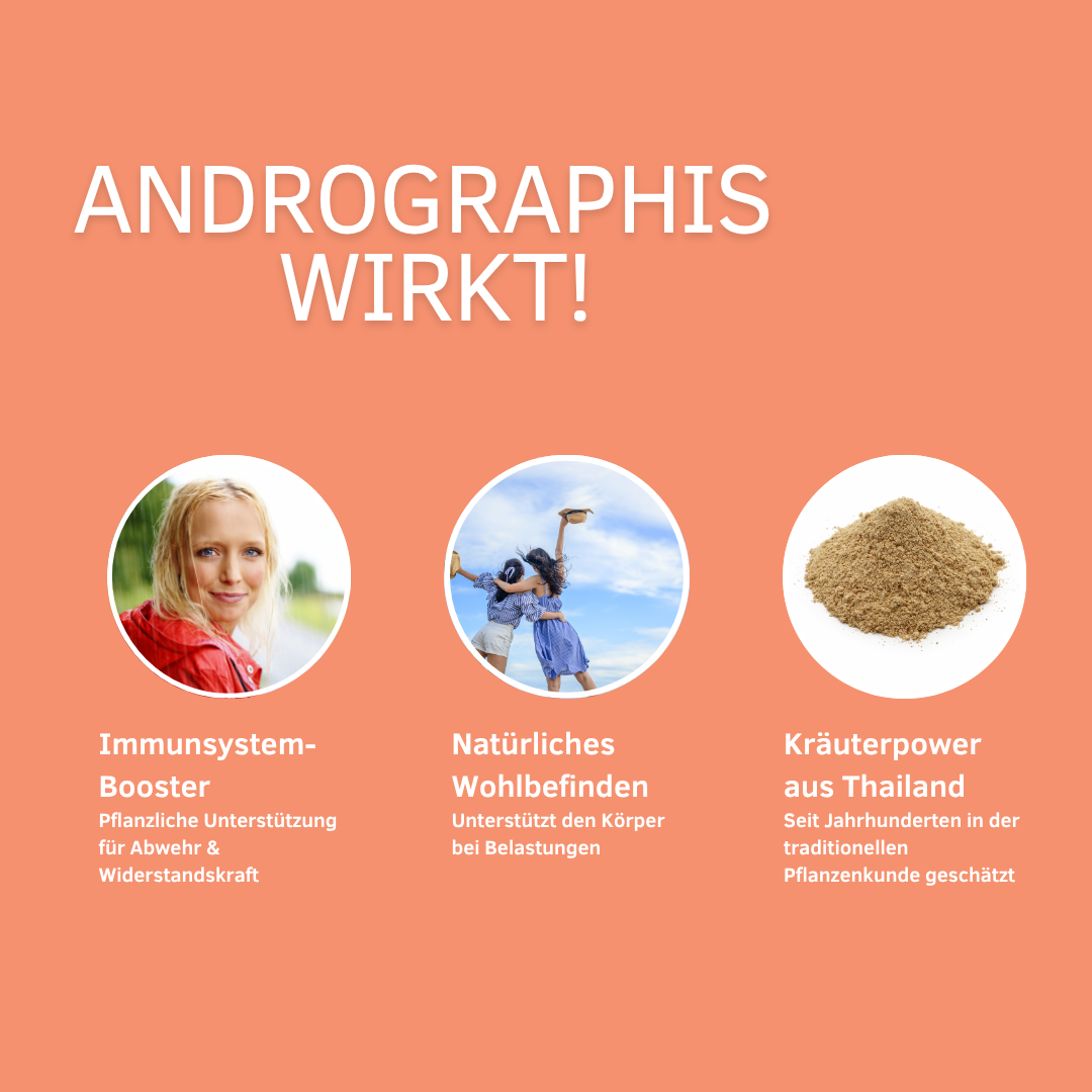Unterstützt Immunsystem, Entzündungsregulation &amp; Energielevel
