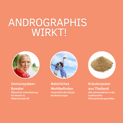 Unterstützt Immunsystem, Entzündungsregulation &amp; Energielevel