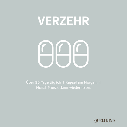 1 Kapsel täglich morgens über 90 Tage, 1 Monat Pause, dann wiederholen