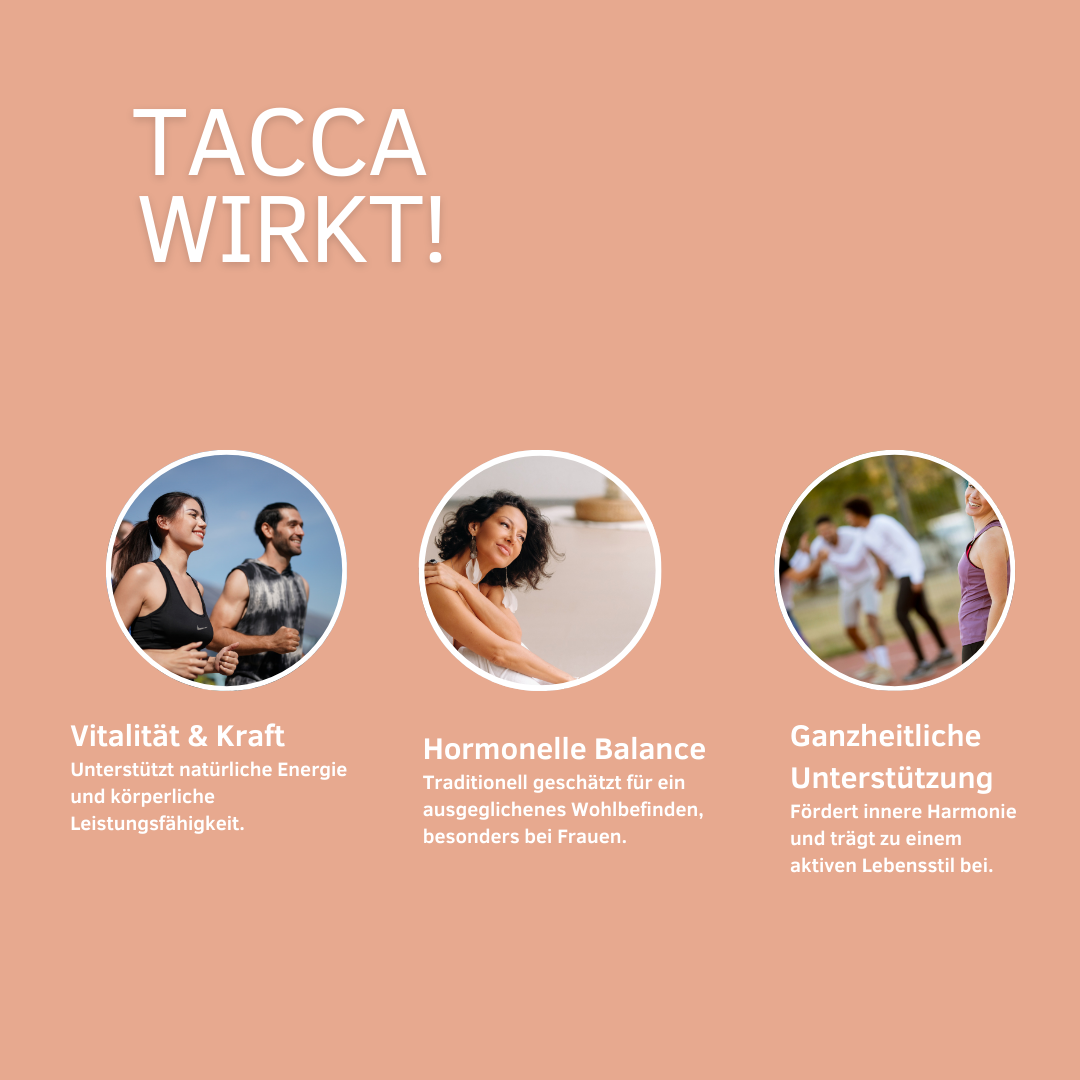 Tacca – unterstützt körperliche Ausdauer, mentale Kraft und Regeneration