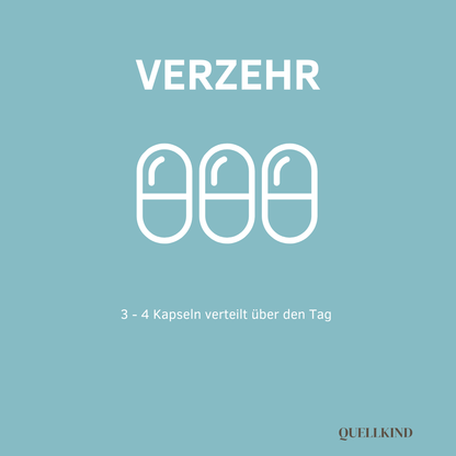 3–4 Kapseln täglich verteilt über den Tag einnehmen