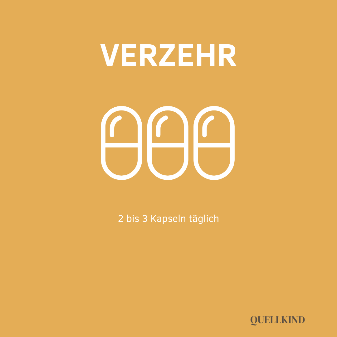 2–3 Kapseln täglich zu den Mahlzeiten
