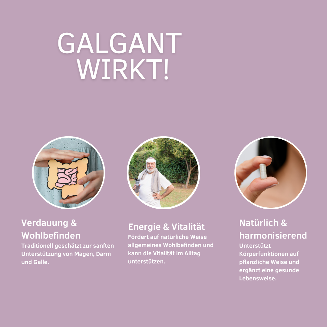 GALGANT KAPSELN