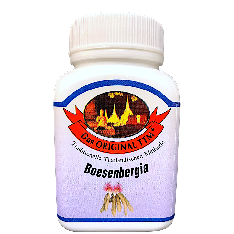Bösenbergia rotunda Kapseln – sanfte Ingwerkraft für Verdauung