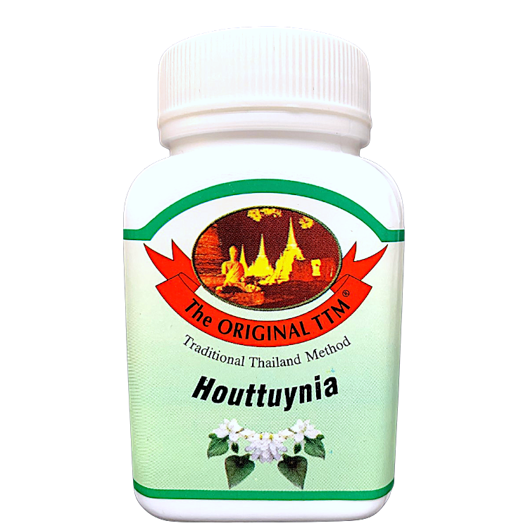 Houttuynia cordata Kapseln – Pflanze gegen Infekte &amp; Entzündungen
