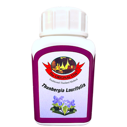 Thunbergia laurifolia Kapseln – leuchtend violette Pflanze