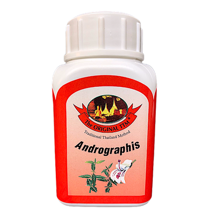 Andrographis paniculata Kapseln – pflanzlicher Immun-Booster