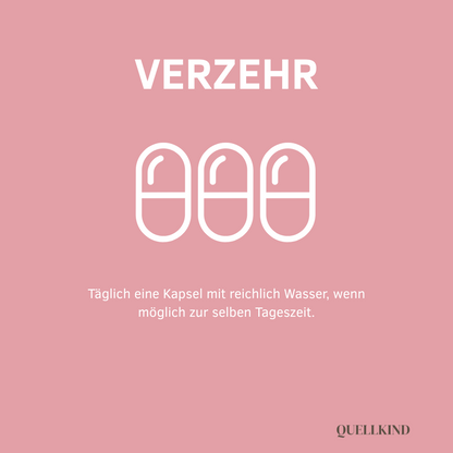 Täglich 1 Kapsel, ideal morgens zur gleichen Tageszeit